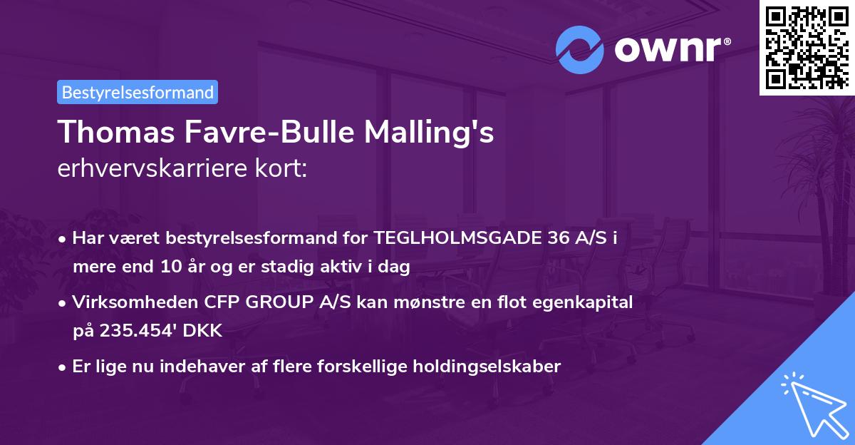 Thomas Favre-Bulle Malling's erhvervskarriere kort