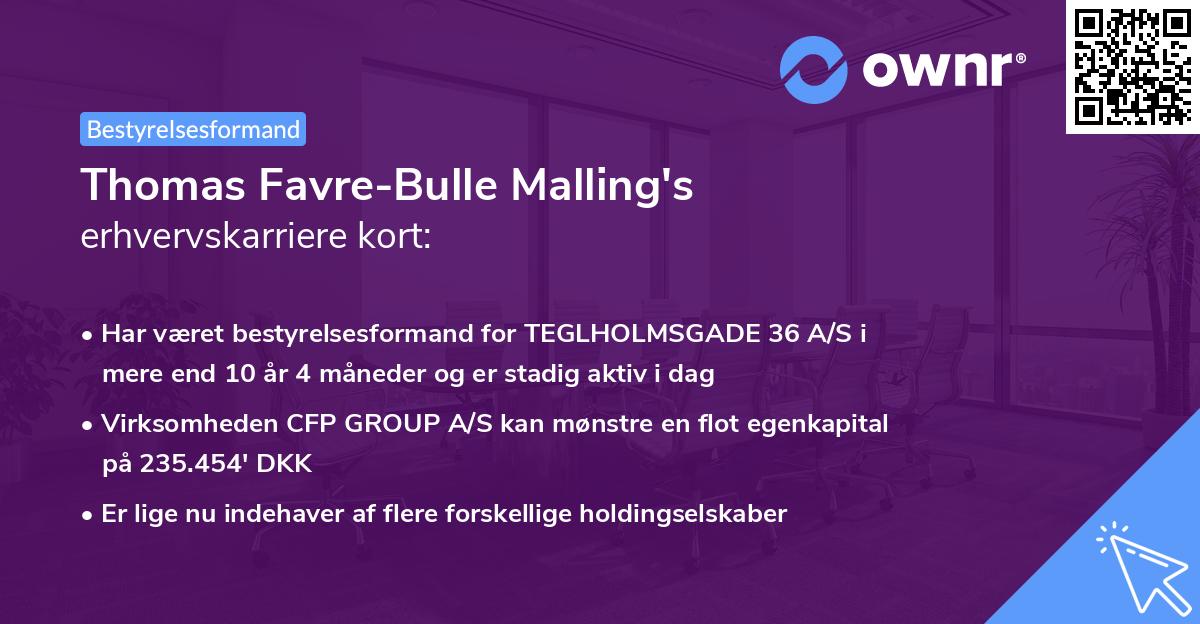 Thomas Favre-Bulle Malling's erhvervskarriere kort