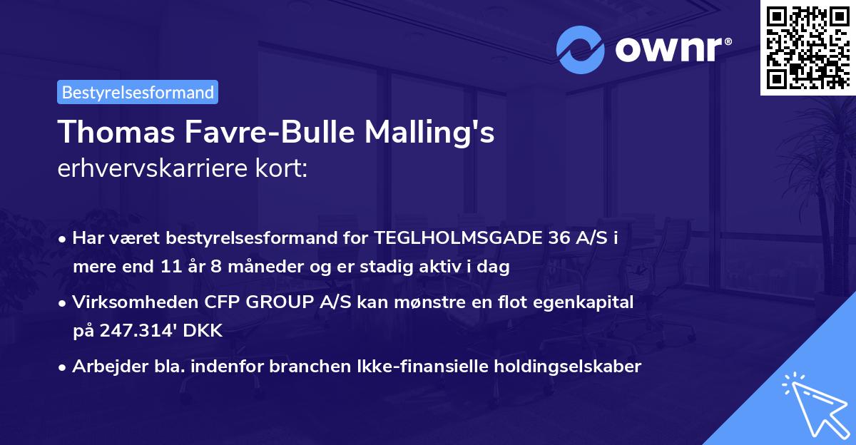 Thomas Favre-Bulle Malling's erhvervskarriere kort