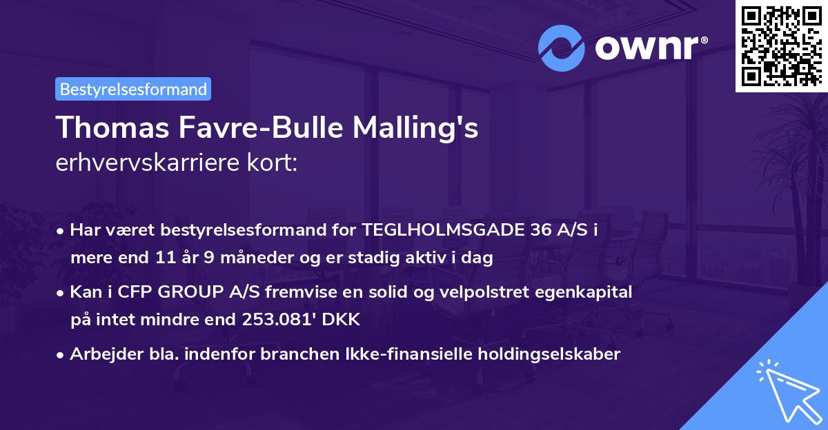 Thomas Favre-Bulle Malling's erhvervskarriere kort