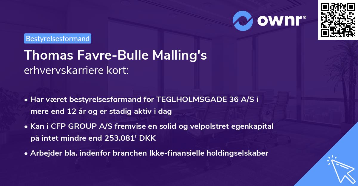 Thomas Favre-Bulle Malling's erhvervskarriere kort