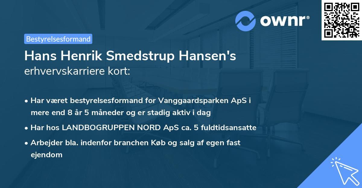 Hans Henrik Smedstrup Hansen's erhvervskarriere kort