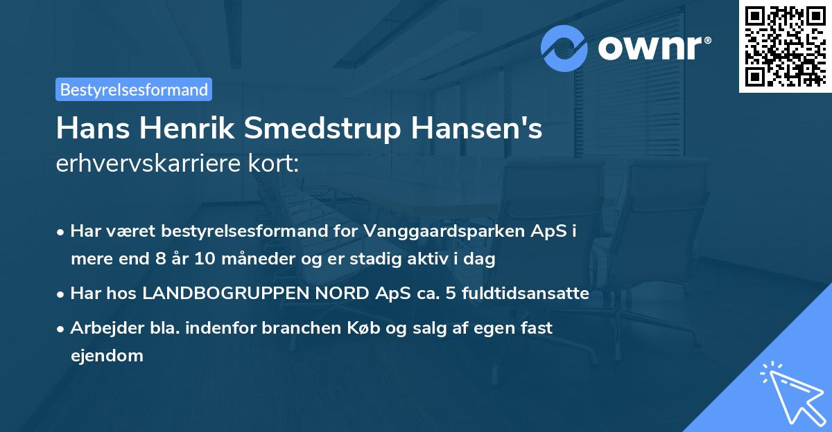 Hans Henrik Smedstrup Hansen's erhvervskarriere kort