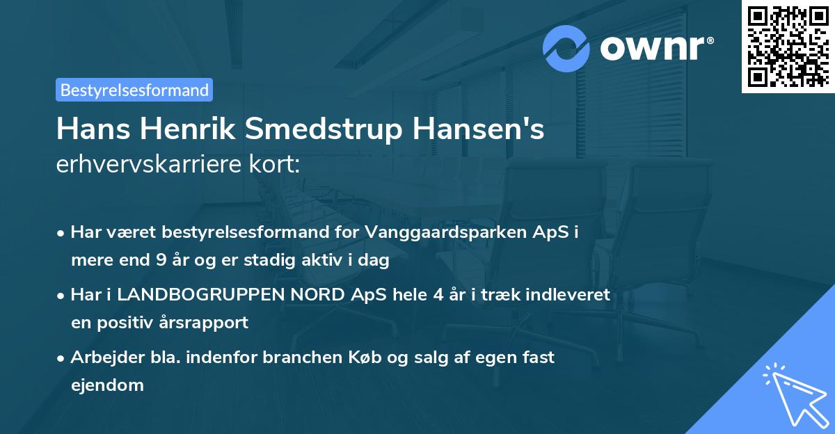 Hans Henrik Smedstrup Hansen's erhvervskarriere kort