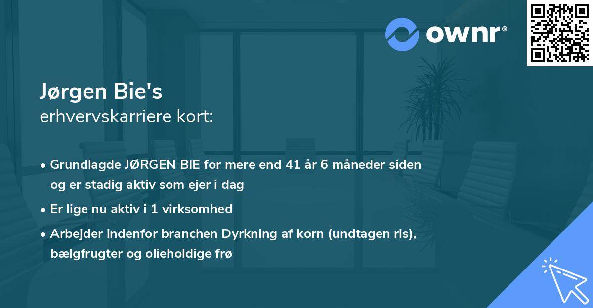 Jørgen Bie's erhvervskarriere kort