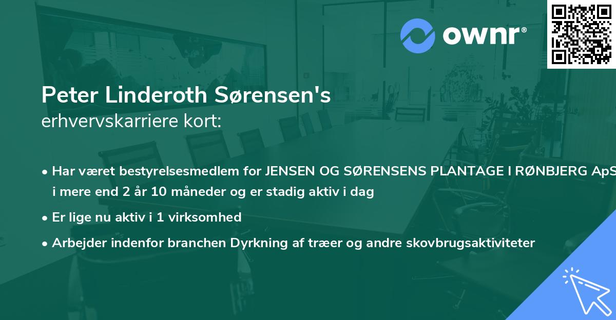 Peter Linderoth Sørensen's erhvervskarriere kort