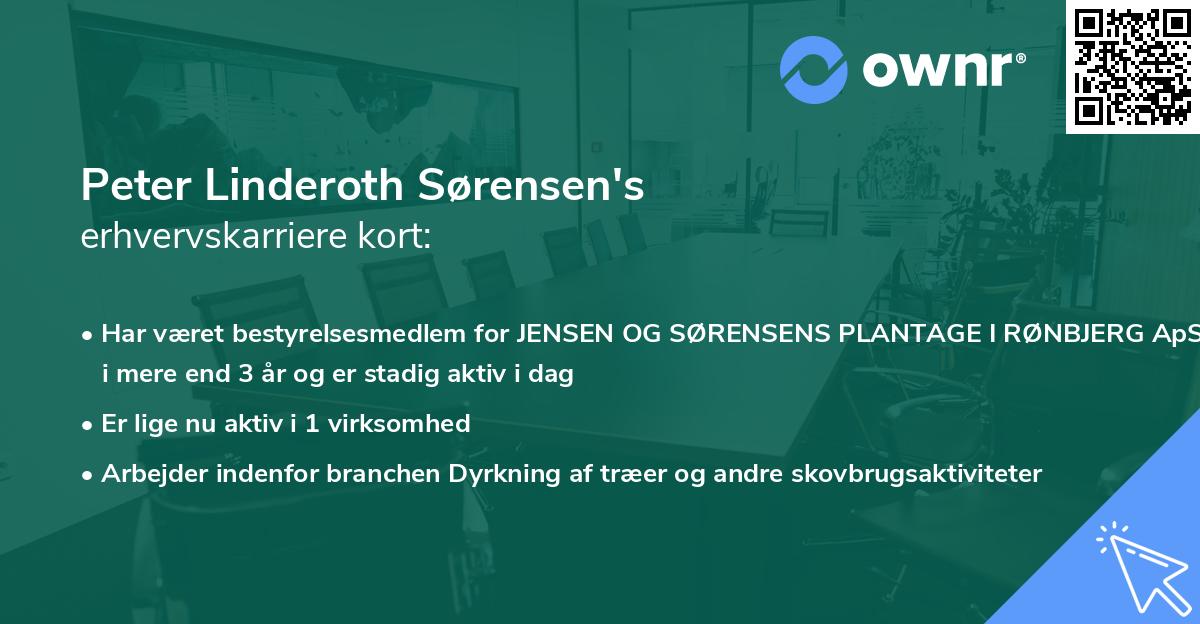 Peter Linderoth Sørensen's erhvervskarriere kort