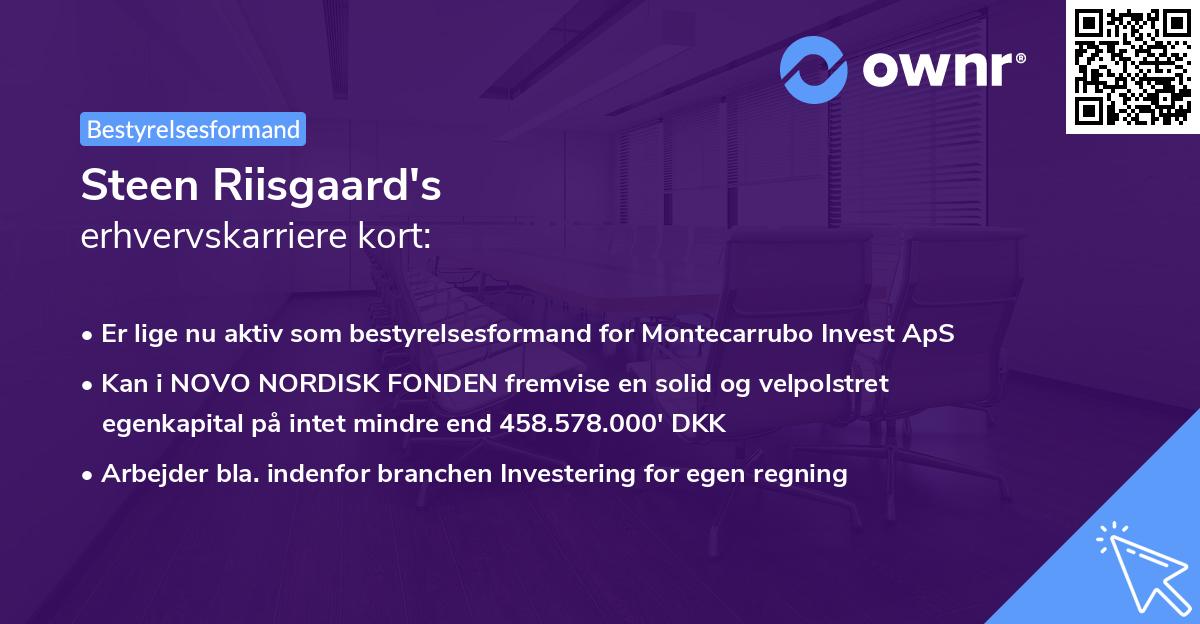 Steen Riisgaard's erhvervskarriere kort