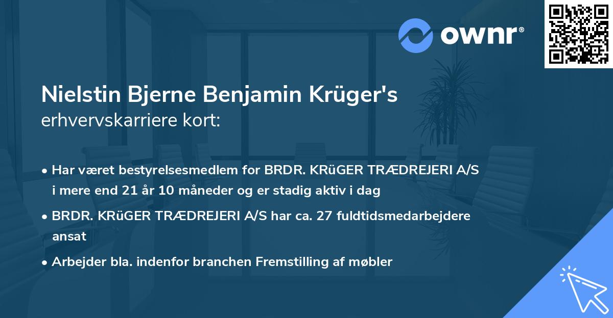 Nielstin Bjerne Benjamin Krüger's erhvervskarriere kort