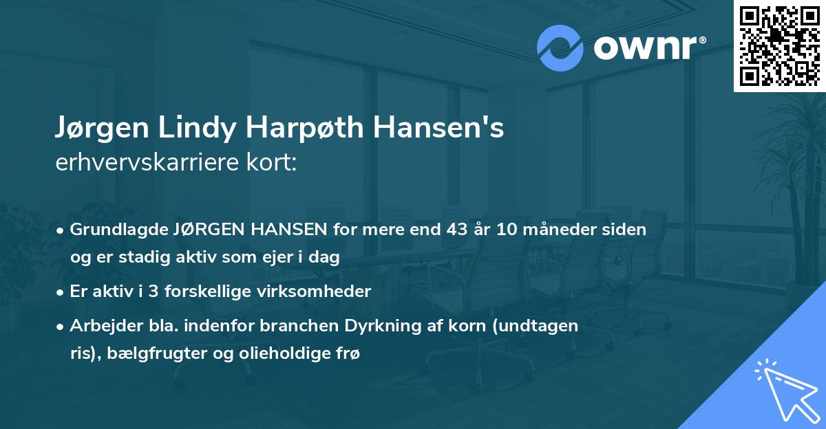 Jørgen Lindy Harpøth Hansen's erhvervskarriere kort