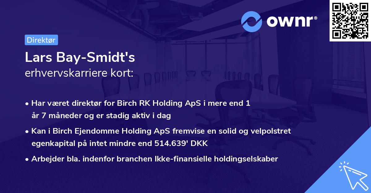 Lars Bay-Smidt's erhvervskarriere kort