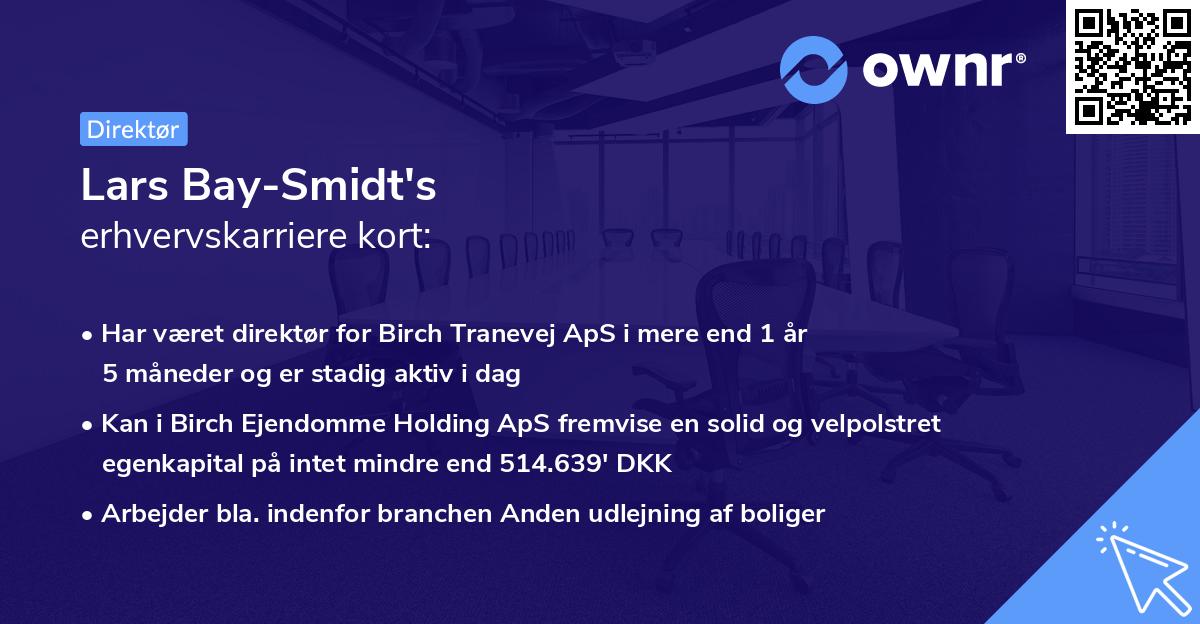 Lars Bay-Smidt's erhvervskarriere kort