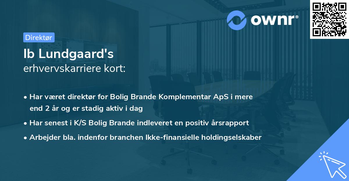 Ib Lundgaard's erhvervskarriere kort