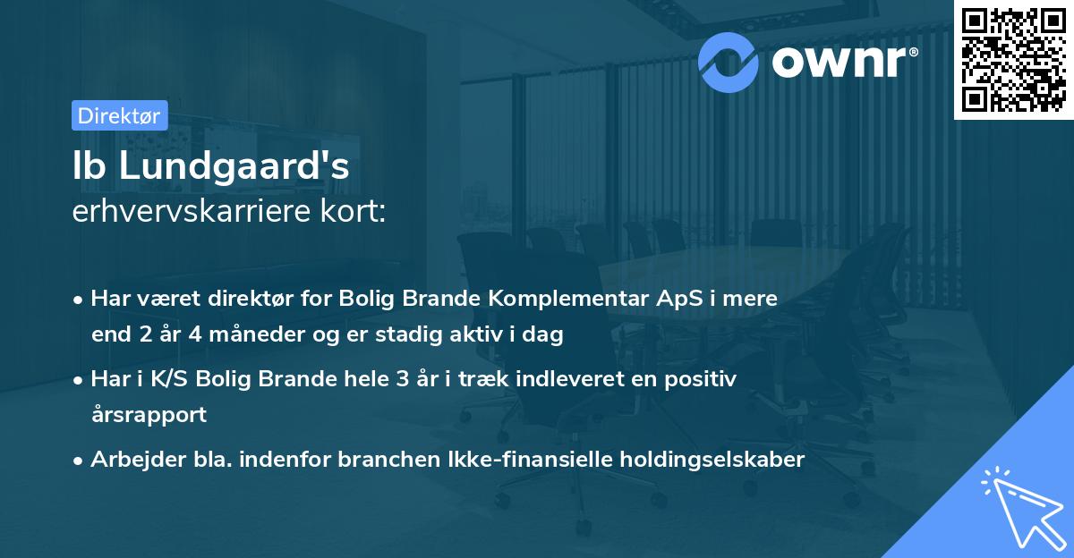 Ib Lundgaard's erhvervskarriere kort