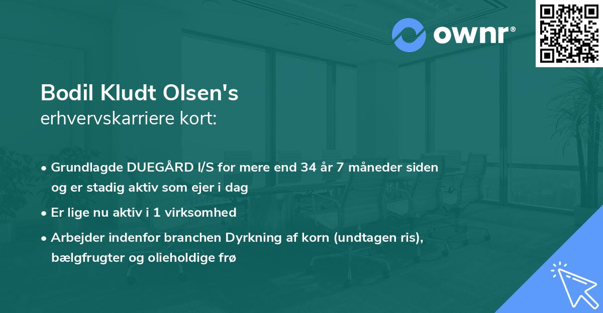 Bodil Kludt Olsen's erhvervskarriere kort