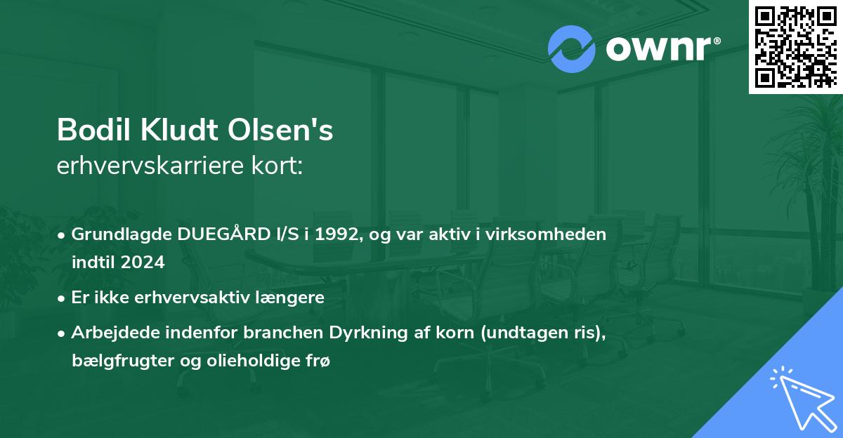 Bodil Kludt Olsen's erhvervskarriere kort