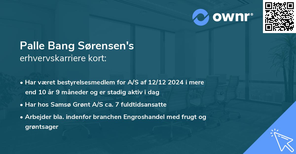 Palle Bang Sørensen's erhvervskarriere kort