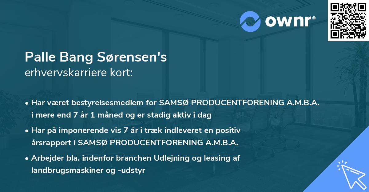Palle Bang Sørensen's erhvervskarriere kort