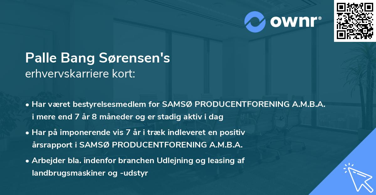 Palle Bang Sørensen's erhvervskarriere kort