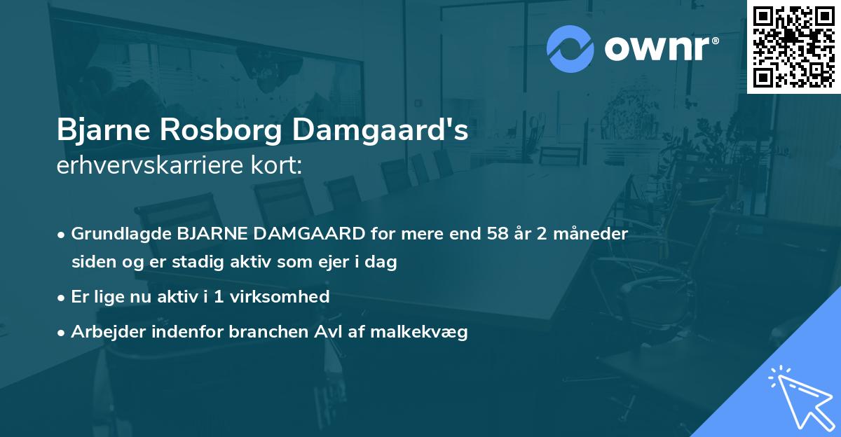 Bjarne Rosborg Damgaard's erhvervskarriere kort