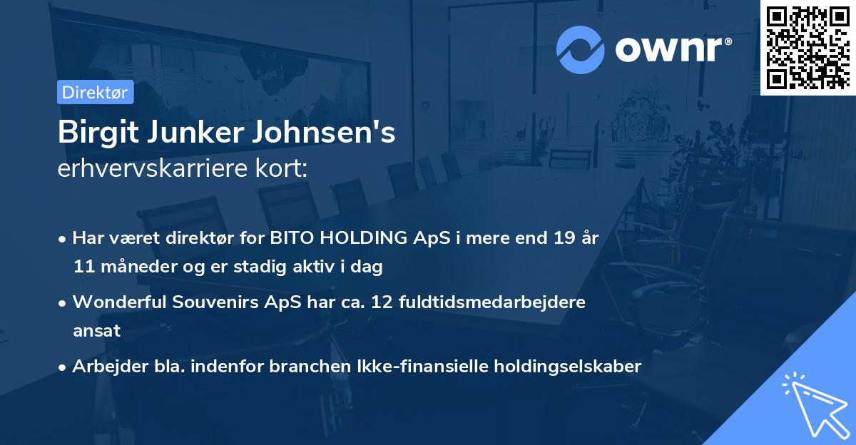 Birgit Junker Johnsen's erhvervskarriere kort