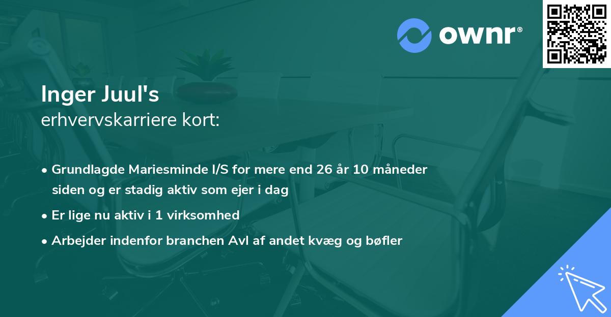 Inger Juul's erhvervskarriere kort