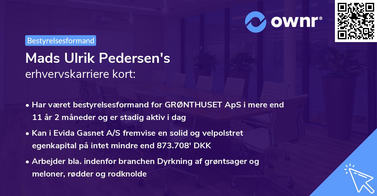 Mads Ulrik Pedersen's erhvervskarriere kort