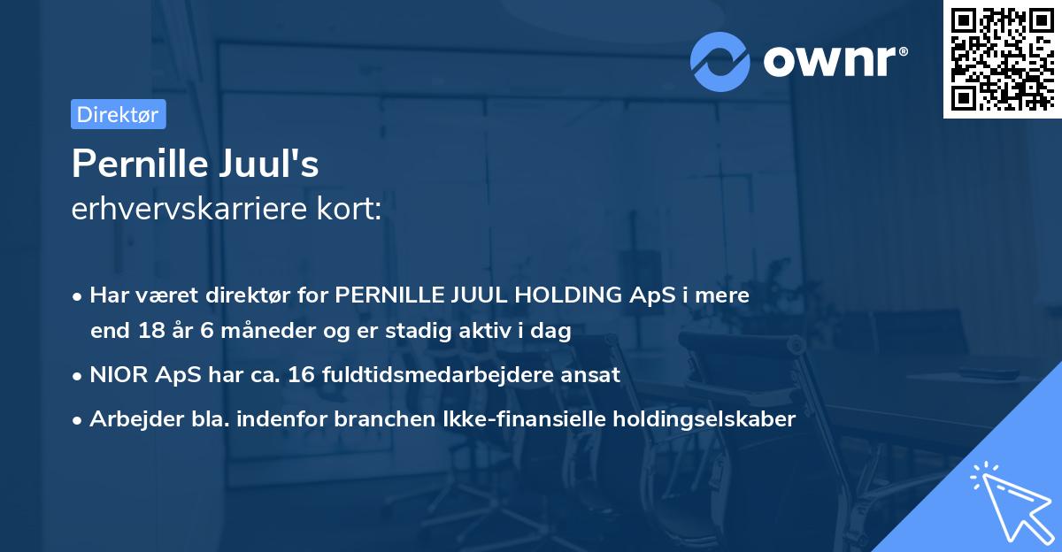 Pernille Juul's erhvervskarriere kort