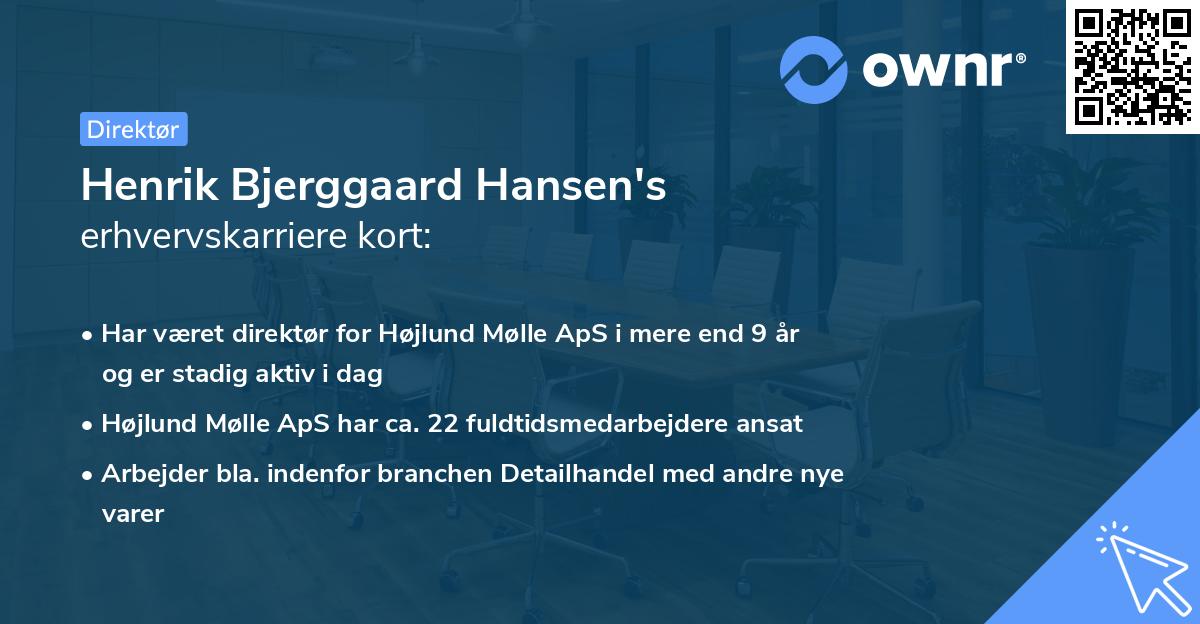 Henrik Bjerggaard Hansen's erhvervskarriere kort