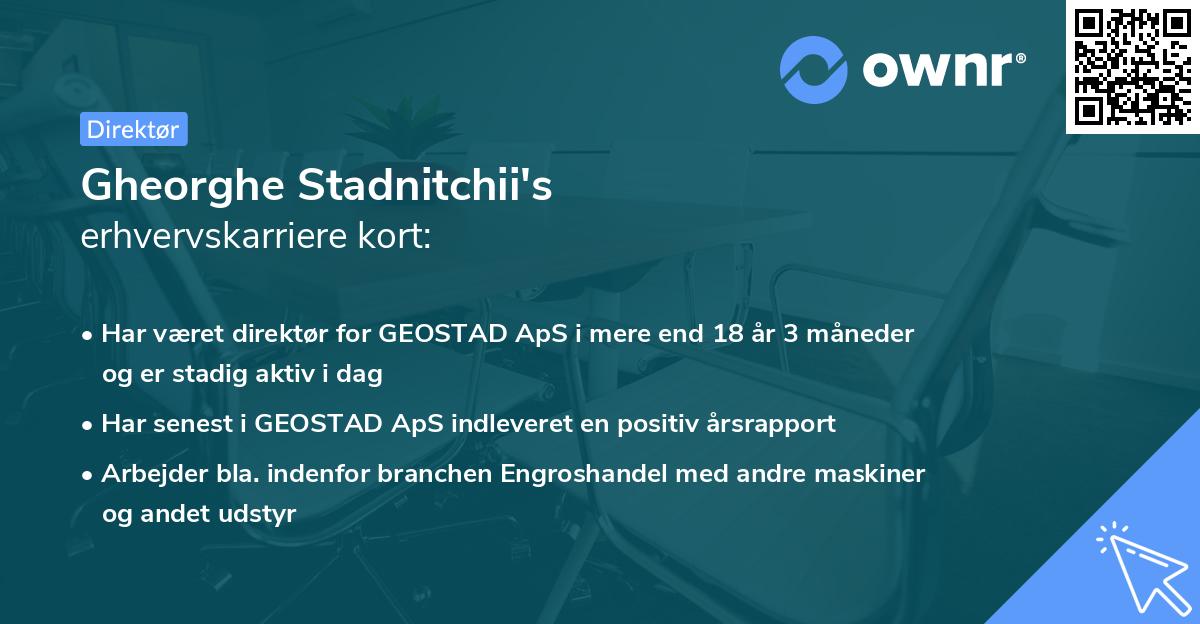 Gheorghe Stadnitchii's erhvervskarriere kort