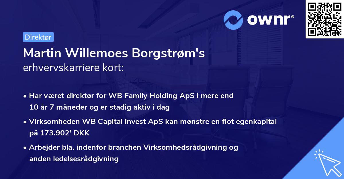Martin Willemoes Borgstrøm's erhvervskarriere kort