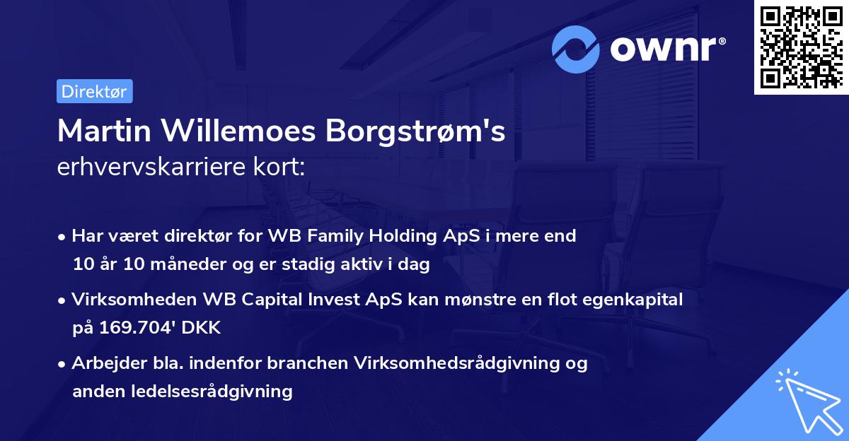 Martin Willemoes Borgstrøm's erhvervskarriere kort