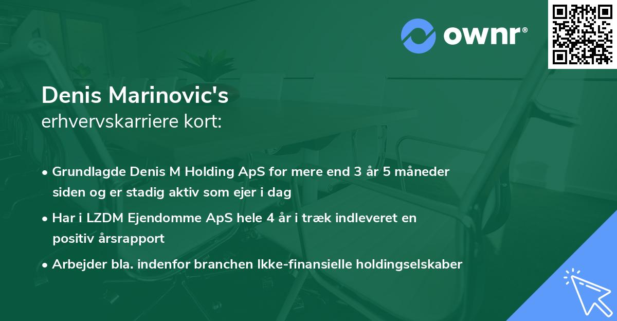 Denis Marinovic's erhvervskarriere kort