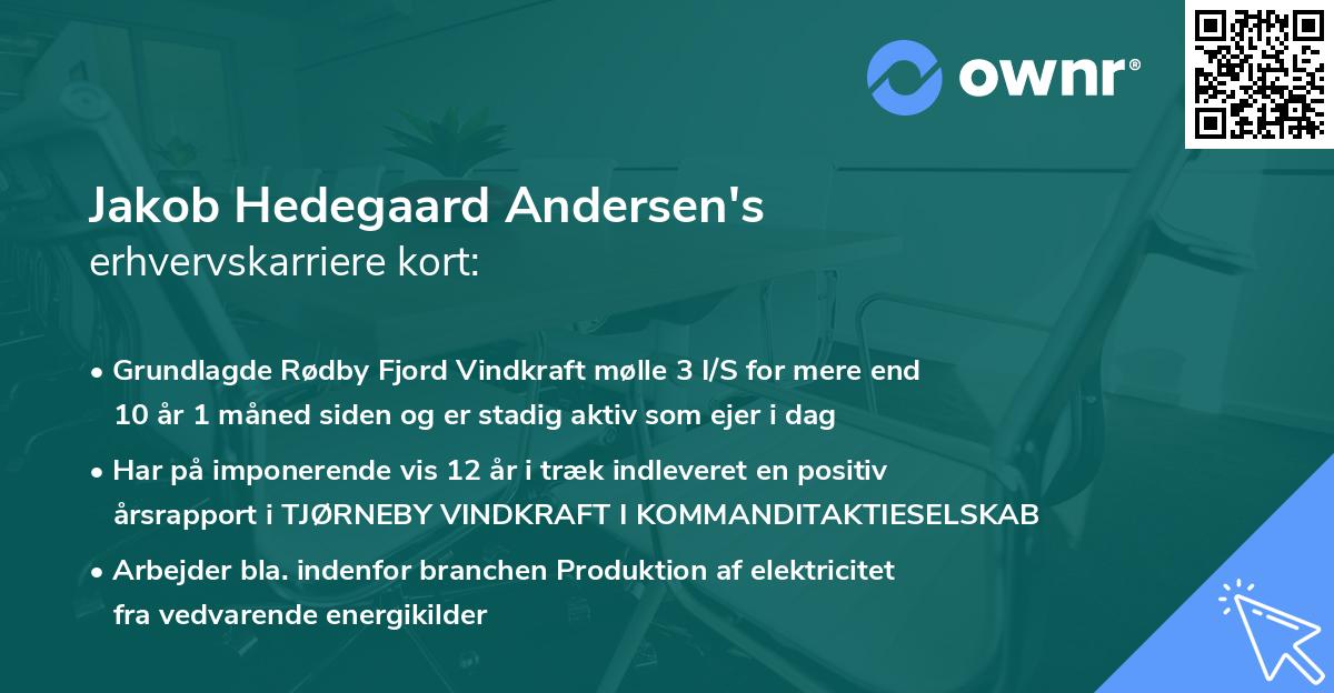 Jakob Hedegaard Andersen's erhvervskarriere kort