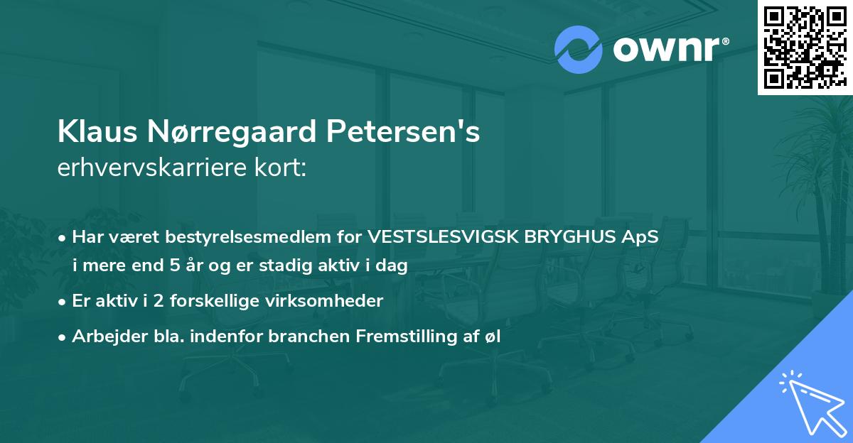 Klaus Nørregaard Petersen's erhvervskarriere kort
