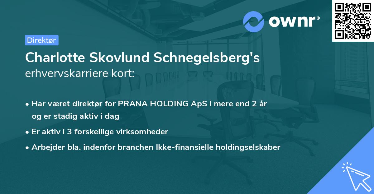 Charlotte Skovlund Schnegelsberg's erhvervskarriere kort