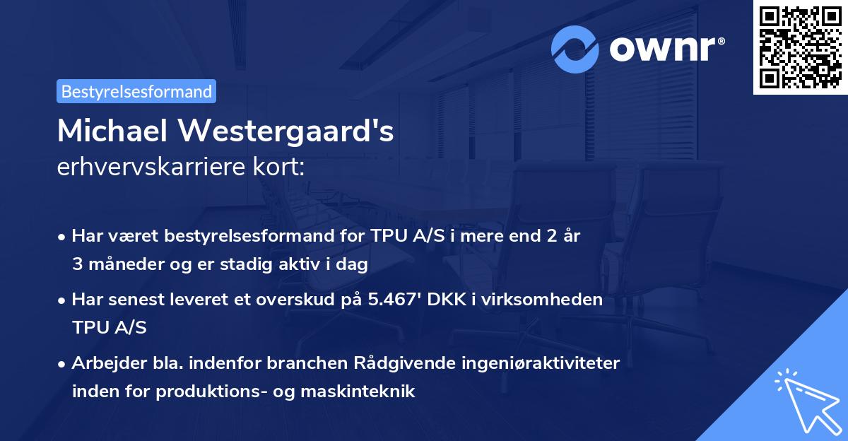 Michael Westergaard's erhvervskarriere kort