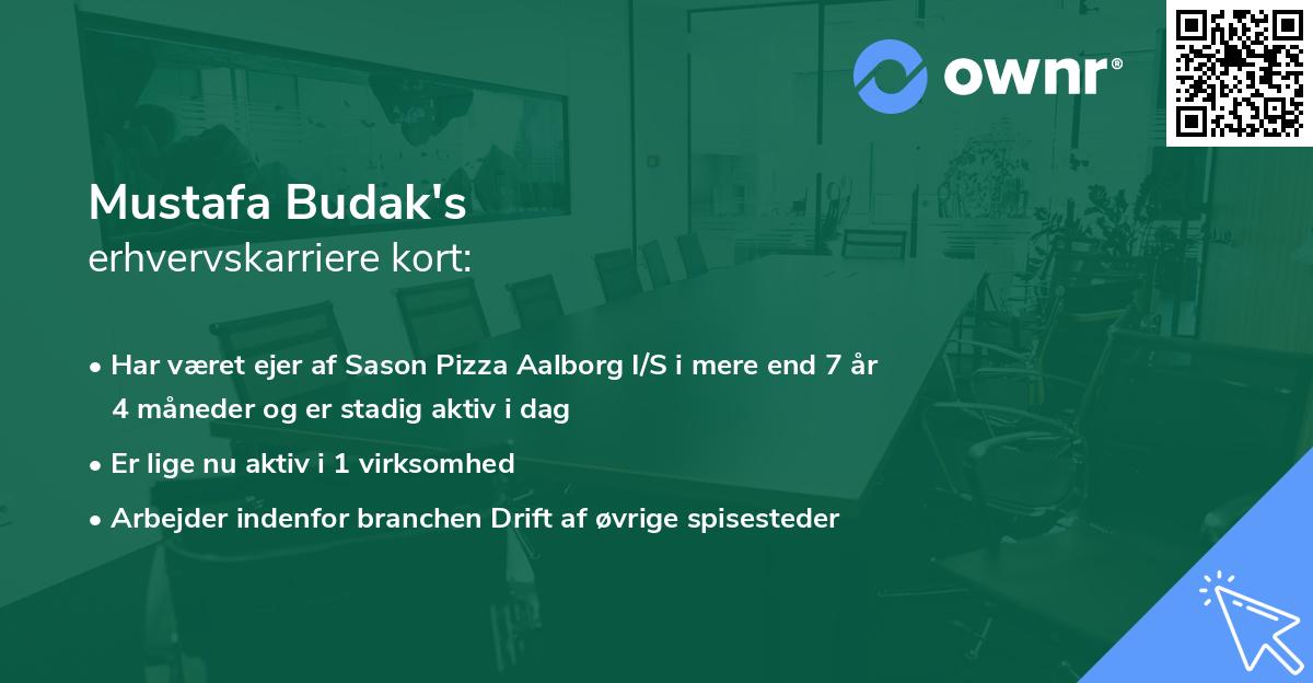 Mustafa Budak's erhvervskarriere kort