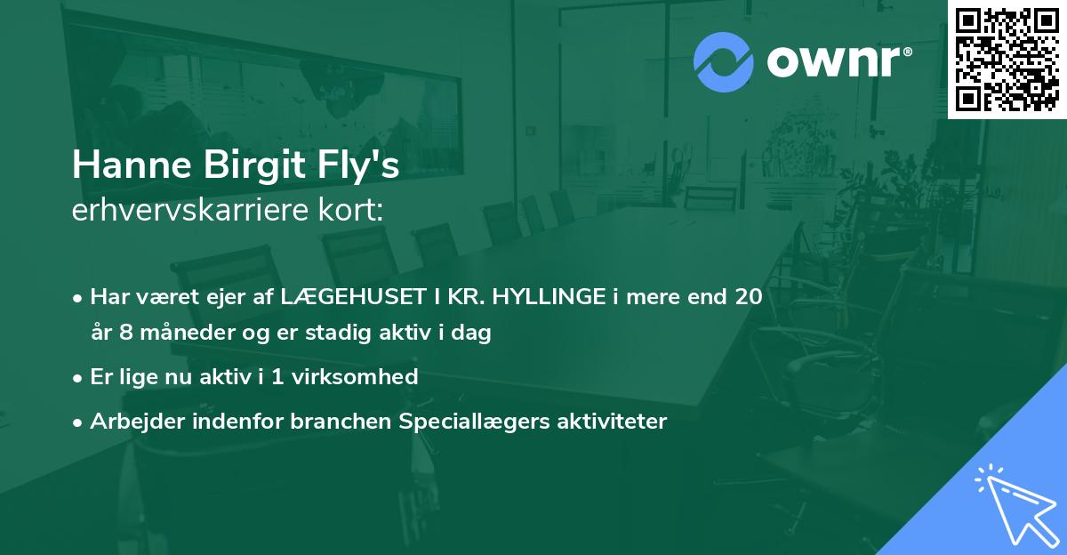 Hanne Birgit Fly's erhvervskarriere kort