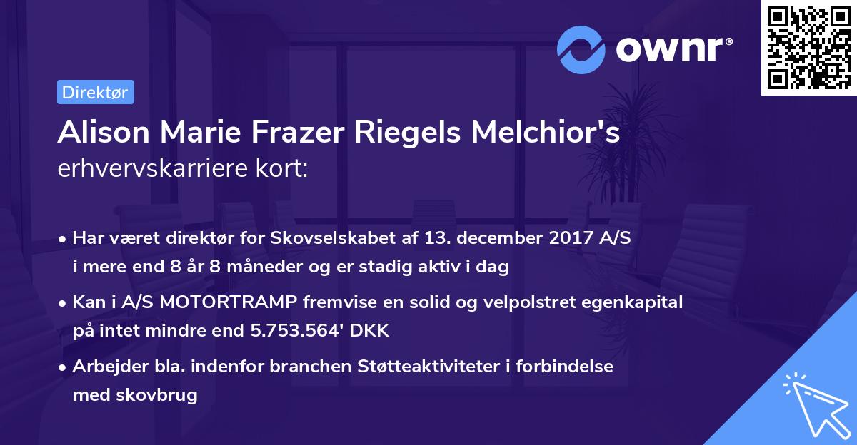 Alison Marie Frazer Riegels Melchior's erhvervskarriere kort