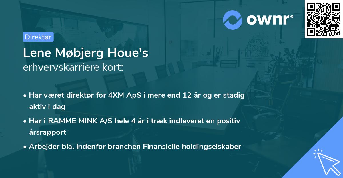 Lene Møbjerg Houe's erhvervskarriere kort
