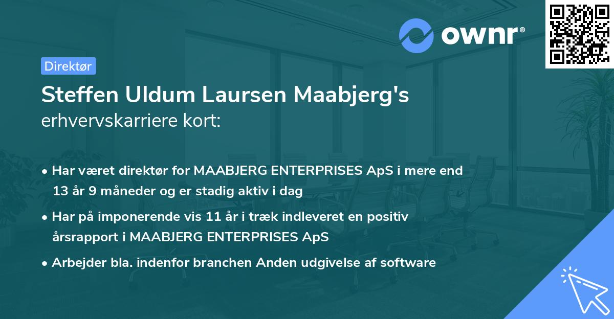 Steffen Uldum Laursen Maabjerg's erhvervskarriere kort