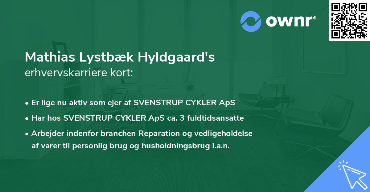 Mathias Lystbæk Hyldgaard's erhvervskarriere kort