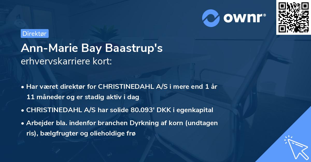 Ann-Marie Bay Baastrup's erhvervskarriere kort