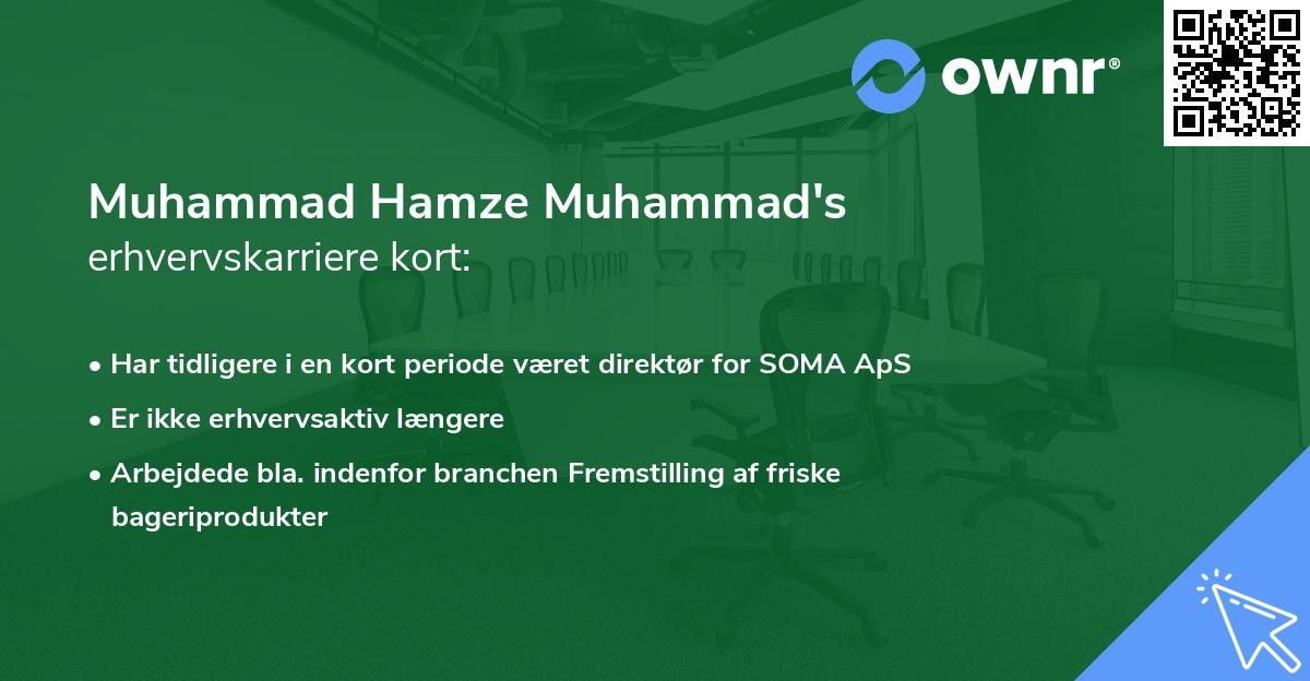 Muhammad Hamze Muhammad's erhvervskarriere kort