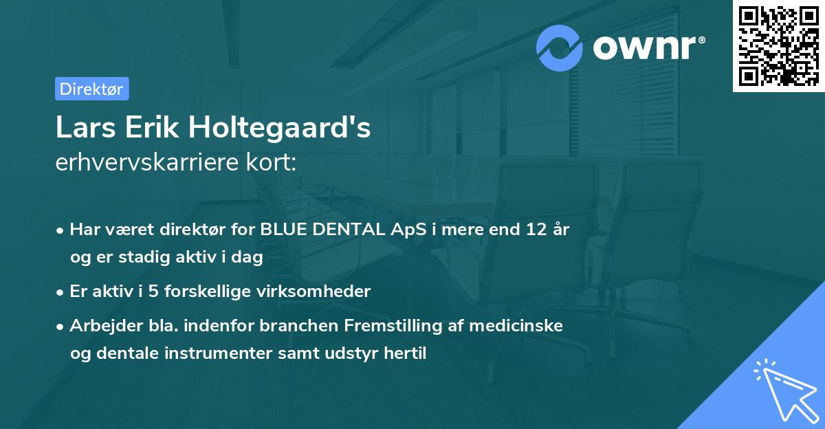 Lars Erik Holtegaard's erhvervskarriere kort