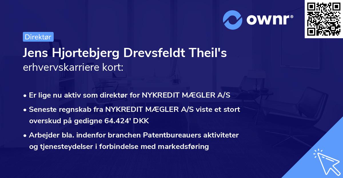 Jens Hjortebjerg Drevsfeldt Theil's erhvervskarriere kort