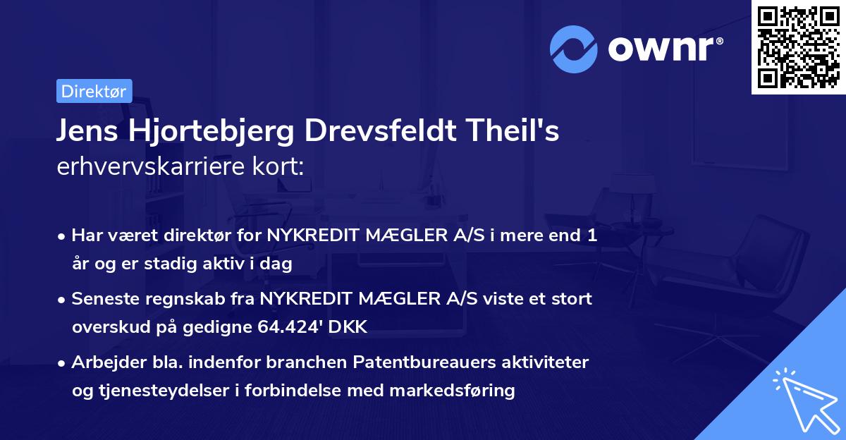 Jens Hjortebjerg Drevsfeldt Theil's erhvervskarriere kort