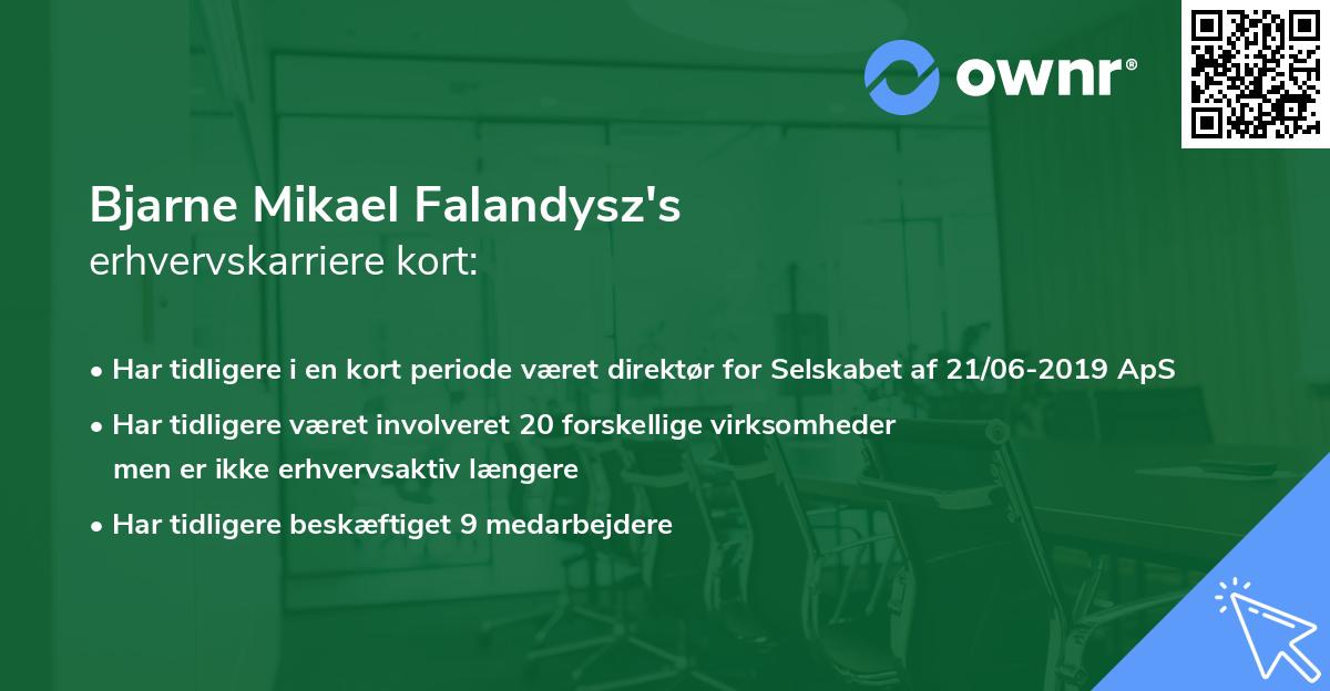 Bjarne Mikael Falandysz's erhvervskarriere kort