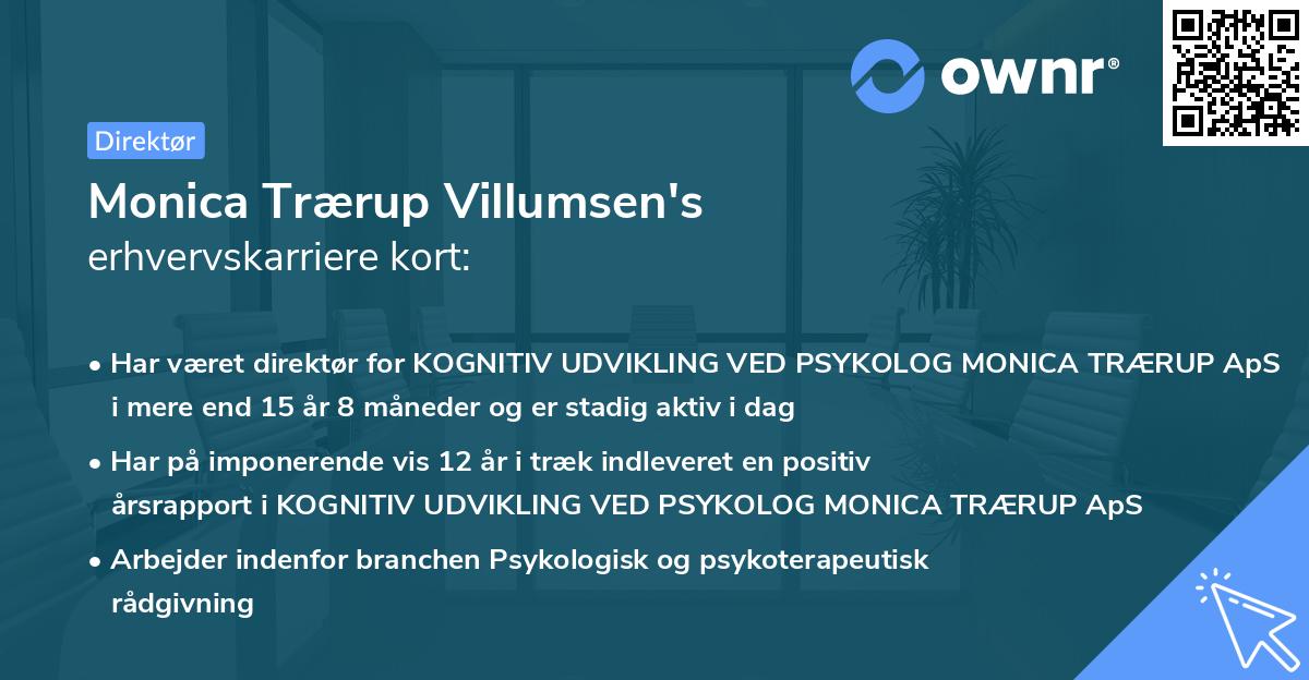 Monica Trærup Villumsen's erhvervskarriere kort